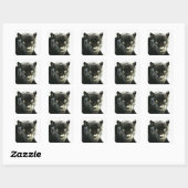 Zwart Jaguar Panther Square Stickers (Vel)