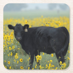 Zwart kalf in een veld met zonnebloemen vierkante kartonnen onderzetter