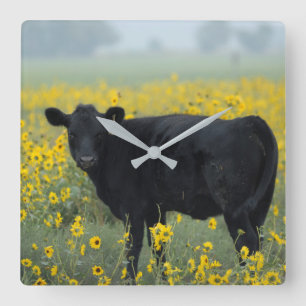 Zwart kalf in een veld met zonnebloemen vierkante klok