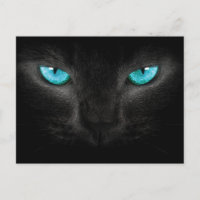 Zwart Kat gezicht met Turquoise Eyes
