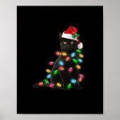 Zwart Kat Kerst Licht Grappig Kat Liefhebber Chris Poster (Voorkant)