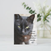 Zwart Kat Lover Afbeelding met Motivatie Citaat Briefkaart (Staand voorkant)