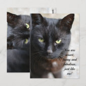 Zwart Kat Lover Afbeelding met Motivatie Citaat Briefkaart (Voorkant / Achterkant)