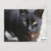 Zwart Kat Lover Afbeelding met Motivatie Citaat Briefkaart (Achterkant)