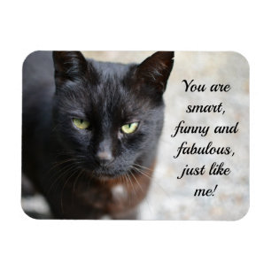 Zwart Kat Lover Afbeelding met Motivatie Citaat Magneet