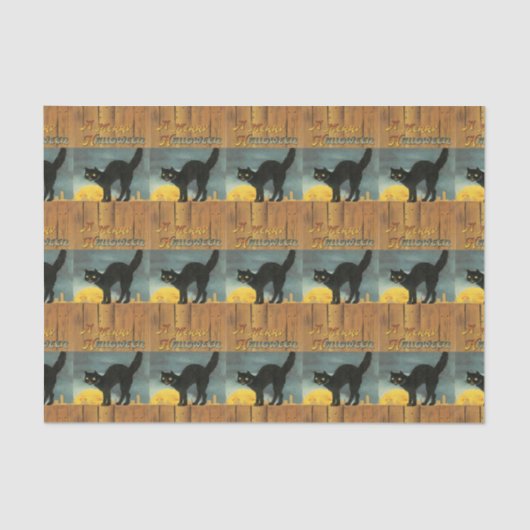  zwart kat op een gesmolten papier (Voorkant)