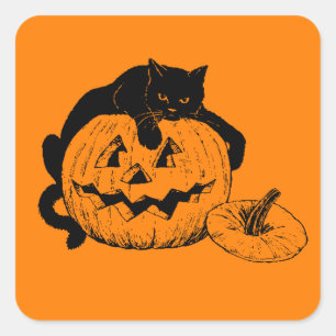 Zwart kat rust boven op een gekraakte pompoen vierkante sticker