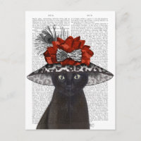 Zwart katje met Pet van Fabulous