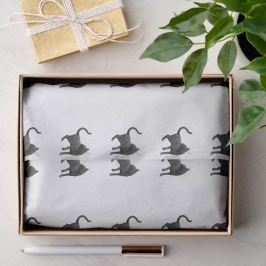 Zwart kattentissuepapier tissuepapier (Geschenk)