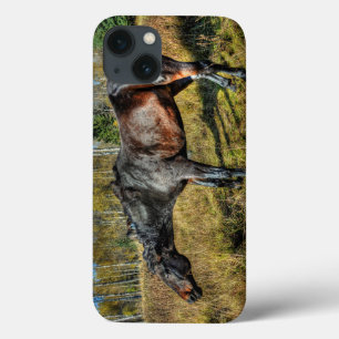 Zwart keegras Percheron Schudden van water iPhone 13 Hoesje
