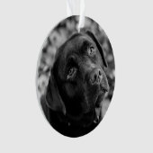 Zwart lab aanpasbaar kerstfeest ornament (voorkant)