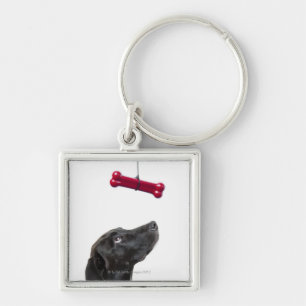 Zwart lab gemengde hond met rood hondenbot sleutelhanger