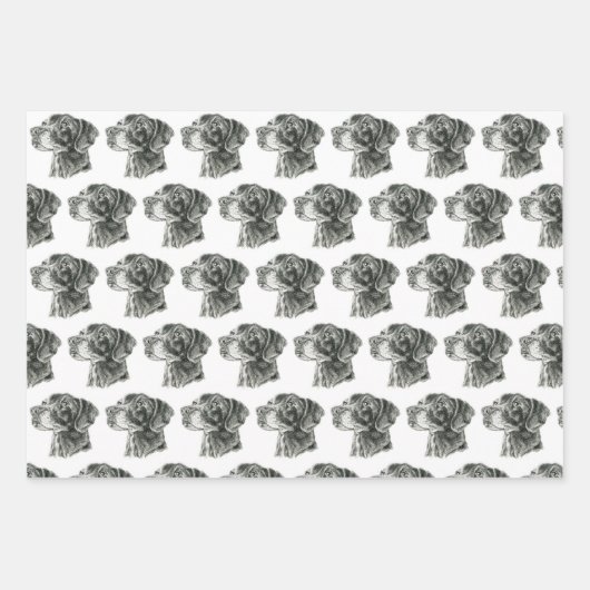 Zwart lab inpakpapier vel (Voorkant 2)