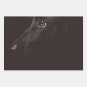 zwart lab inpakpapier vel