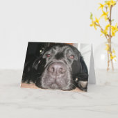 Zwart lab kaart (Gele Bloem)