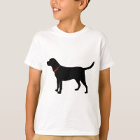 zwart lab, labrador Retriever