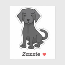 Zwart lab labrador