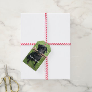 Zwart lab met twee sticks Dog Foto en naam Cadeaulabel