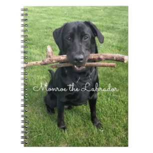 Zwart lab met twee sticks Dog Foto en naam Notitieboek