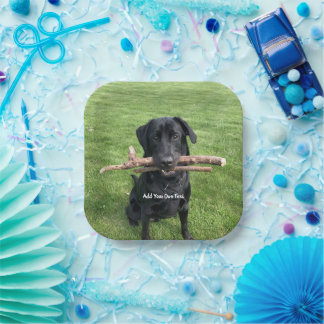 Zwart lab met twee sticks Dog Foto en naam Papieren Bordje