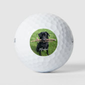 Zwart lab met twee stokken Aangepast Golfballen (Voorkant)