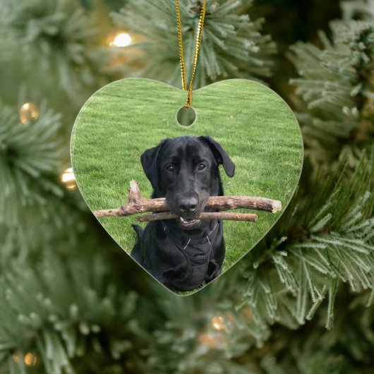 Zwart lab met twee stokken Dog Foto Keramisch Ornament (Boom)