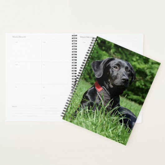Zwart lab planner (Display)