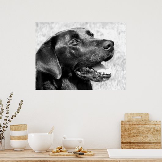 Zwart lab poster (Keuken)