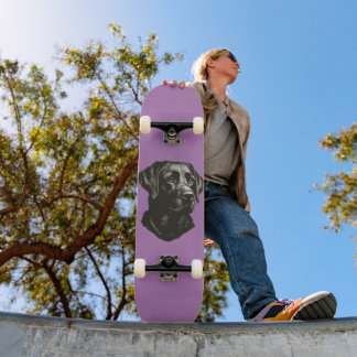 Zwart lab skateboard