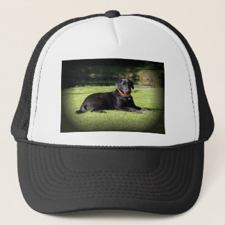 Zwart lab trucker pet