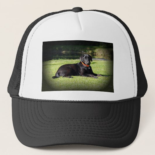 Zwart lab trucker pet (Voorkant)