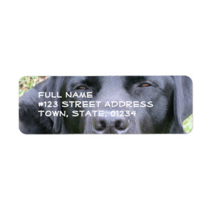 Zwart label voor labrador Retriever