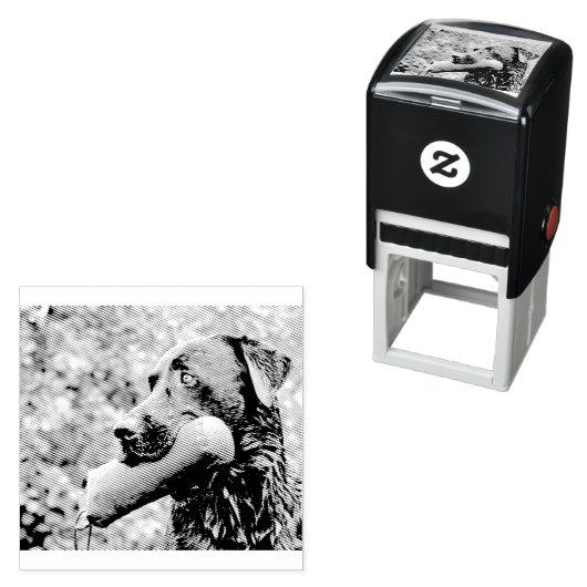 zwart laboratorium dat terugwint  zelfinktende stempel (In situ)