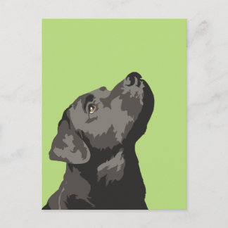 Zwart labrador Briefkaart (kies uw eigen kleur)