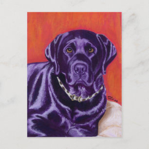 Zwart labrador denking briefkaart