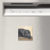 Zwart labrador portret magneet (Insitu (Vaatwasser))