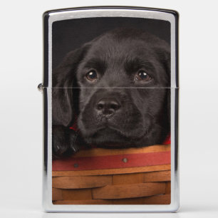 Zwart labrador rekwalvis in een mand