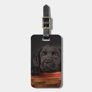 Zwart labrador rekwalvis in een mand bagagelabel