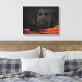 Zwart labrador rekwalvis in een mand canvas afdruk (Insitu (Slaapkamer))