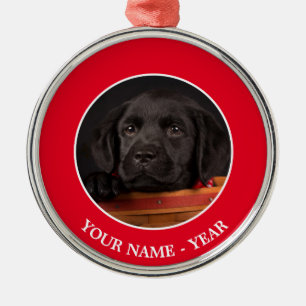 Zwart labrador rekwalvis in een mand metalen ornament