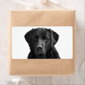 Zwart labrador retriever puppy hond etiket (Insitu)