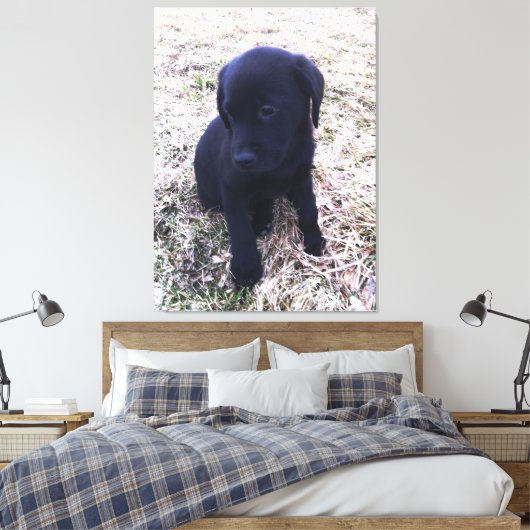 Zwart Labrador Retriever Puppy Wrapped Canvas (Insitu (Slaapkamer))