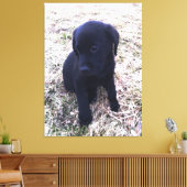 Zwart Labrador Retriever Puppy Wrapped Canvas Afdruk (Insitu (Woonkamer))