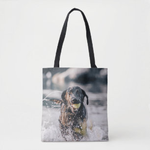 Zwart labrador speelt fets in water draagtas