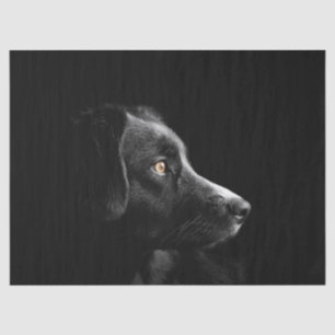 zwart labrador tissuepapier