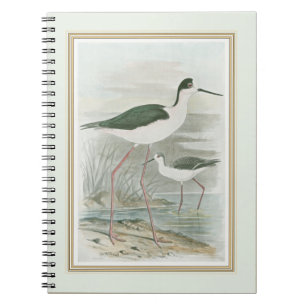 Zwart-Necked Stilts door het water Notitieboek