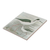 Zwart-Necked Stilts door het water Tegeltje (Zijkant)