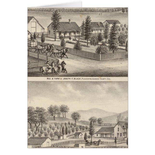 Zwart, neusweerstanden, eigenschappen (Voorkant)