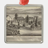 Zwart, neusweerstanden, eigenschappen metalen ornament (Voorkant)