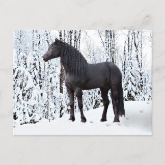 "Zwart op wit" Briefkaart